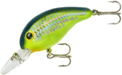 Bandit 200 Series Medium Diving Crankbait -Pro Tackle Store BDT2D66