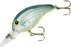 Bandit 200 Series Medium Diving Crankbait -Pro Tackle Store BDT2D67