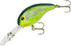 Bandit 300 Series Deep Diving Crankbait -Pro Tackle Store BDT3D66