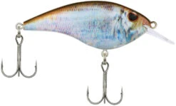 Berkley Frittside Shallow Diving Flat Sided Crankbait -Pro Tackle Store Berkley Frittside HDBluebackHerring 5Biggun alt2 2000