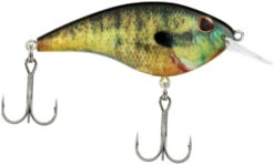 Berkley Frittside Shallow Diving Flat Sided Crankbait -Pro Tackle Store Berkley Frittside HDBluegill 5Biggun alt2 2000