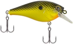 Berkley SquareBull 2 3/8 Inch Shallow Squarebill Crankbait -Pro Tackle Store Berkley SquareBull Black Chartreuse 2017 alt2 2000