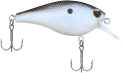 Berkley SquareBull 2 3/8 Inch Shallow Squarebill Crankbait -Pro Tackle Store Berkley Squarebull BlueShad 55 alt2 2000