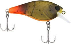 Berkley SquareBull 2 3/8 Inch Shallow Squarebill Crankbait -Pro Tackle Store Berkley Squarebull FiretailGreenCraw 55 alt2 2000