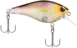 Berkley SquareBull 2 3/8 Inch Shallow Squarebill Crankbait -Pro Tackle Store Berkley Squarebull GhostMorningDawn 55 alt2 2000