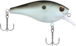 Berkley SquareBull 2 3/8 Inch Shallow Squarebill Crankbait -Pro Tackle Store Berkley Squarebull GreenShad 35 alt2 2000