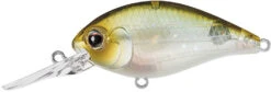 Evergreen International CR-10 Deep Diving Crankbait -Pro Tackle Store Evergreen CR 420 5203f195 bbca 4378 b397 b08b3a4195de