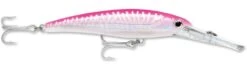 Rapala X-Rap Magnum 40 Big Game Slash Bait -Pro Tackle Store Hot Pink UV b24b35dc 2fca 4a2a b250 4347bf61c445