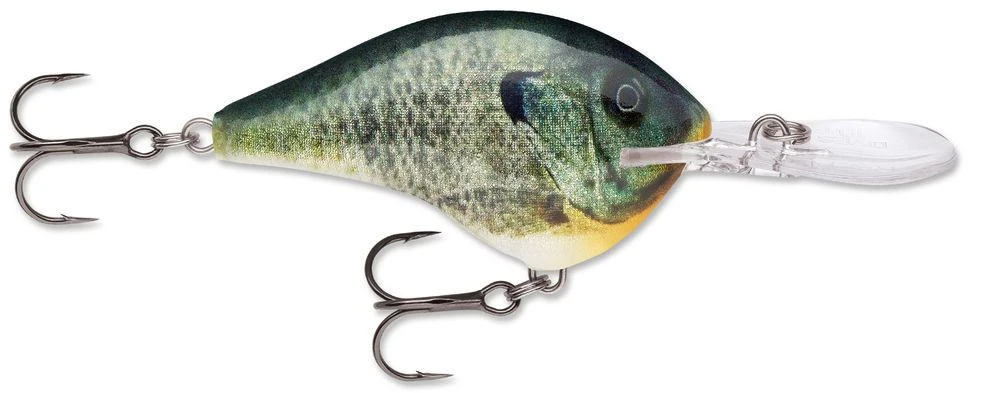 Rapala DT Series Crankbait DT16 22 Rapala DT Series Crankbait DT16 - Image 20