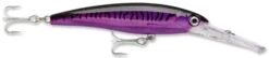 Rapala X-Rap Magnum 15 Big Game Slash Bait 31 Rapala X-Rap Magnum 15 Big Game Slash Bait -Pro Tackle Store Purple Mackerel d00f71db 7f8d 4089 b329 a26b6673365f