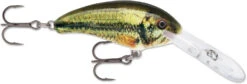 Rapala Shad Dancer SDD05 Medium Diving Crankbait -Pro Tackle Store SDD LBL