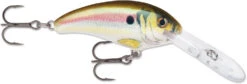 Rapala Shad Dancer SDD05 Medium Diving Crankbait -Pro Tackle Store SDD RSL