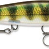 Rapala Shadow Rap 11 Jerkbait -Pro Tackle Store SDR PEL