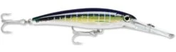 Rapala X-Rap Magnum 40 Big Game Slash Bait -Pro Tackle Store Sailfish UV 49f7a10f d6dd 4b31 86c5 efe898da306a