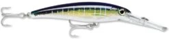 Rapala X-Rap Magnum 10 Big Game Slash Bait -Pro Tackle Store Sailfish UV 9fb6931a 3681 44e1 bda3 7a859014566d