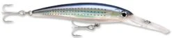 Rapala X-Rap Magnum 15 Big Game Slash Bait 37 Rapala X-Rap Magnum 15 Big Game Slash Bait -Pro Tackle Store Spotted Minnow 69a00102 1bb2 44d8 acfe c39acffec822