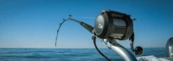 Daiwa Tanacom 800 Power Assist Electric Dendoh Reel -Pro Tackle Store TANACOM 800 BANNER1
