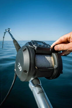 Daiwa Tanacom 800 Power Assist Electric Dendoh Reel -Pro Tackle Store TANACOM 800 41