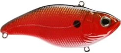 SPRO Aruku Shad 65 Lipless Crankbait -Pro Tackle Store Texas Craw 993063b6 e2f5 4688 99b7 4274a26753ee