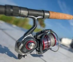 Daiwa Ballistic LT MQ Spinning Reels 16 Daiwa Ballistic LT MQ Spinning Reels -Pro Tackle Store ballistic mq lt 3