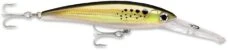 Rapala X-Rap Magnum 30 Big Game Slash Bait -Pro Tackle Store bunker e98f4d72 699f 4d80 8997 f69d015a741f