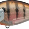 Evergreen International SH-3 Shallow Squarebill Crankbait -Pro Tackle Store evergreen SH 3 246 ghost baby gill