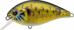 Evergreen International SH-3 Shallow Squarebill Crankbait 26 Evergreen International SH-3 Shallow Squarebill Crankbait -Pro Tackle Store evergreen SH 3 286 skeleton pumpkinseed