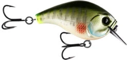 13 Fishing Scamp 1.5/2.5 Squarebill Crankbait -Pro Tackle Store flipDream Gill