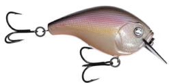 13 Fishing Scamp 1.5/2.5 Squarebill Crankbait -Pro Tackle Store flipRegurgitated Shad