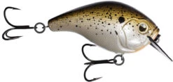 13 Fishing Scamp 1.5/2.5 Squarebill Crankbait -Pro Tackle Store flipTruffle Butter