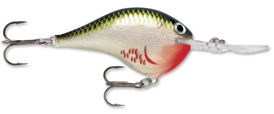 Rapala DT Series Crankbait DT16 8 Rapala DT Series Crankbait DT16 - Image 6