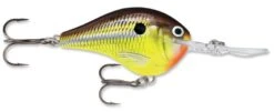 Rapala DT Series Crankbait DT16 24 Rapala DT Series Crankbait DT16 -Pro Tackle Store rapala dt10 hot mustard 847d0a2c 2be5 48b6 ab17 11f103d1180d