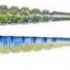Xzone Pro Series Swammer Paddle Tail Swimbait -Pro Tackle Store sexy 20shad 749a8da2 67b7 4da6 bc1f 46a86768b826
