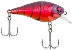 Berkley SquareBull 2 3/8 Inch Shallow Squarebill Crankbait -Pro Tackle Store squarebull special red craw a3eeef37 c990 4d30 a2a4 9203d3981ecd