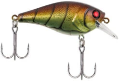 Berkley SquareBull 2 3/8 Inch Shallow Squarebill Crankbait -Pro Tackle Store squarebull vintage craw 80989045 ac81 41fe b62e aacb608a8003