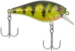 Berkley SquareBull 2 3/8 Inch Shallow Squarebill Crankbait -Pro Tackle Store squarebull yellow perch 08cc63df 2824 4d70 8487 3e7beebcaa15