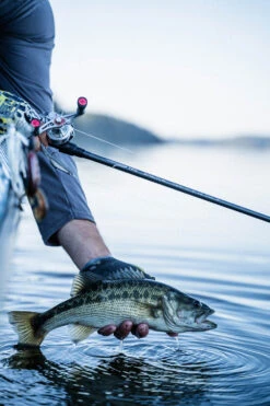 Temple Fork Outfitters Tactical Elite Bass Baitcasting Rods -Pro Tackle Store tfo tactical elite bass bottom banner lifestyle 1 1