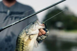 Temple Fork Outfitters Tactical Elite Bass Swimbait Casting Rods -Pro Tackle Store tfo tactical elite bass bottom banner lifestyle 5 1 73339f39 bce7 4dcd 992e bb5a21a97248