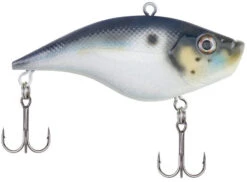 Berkley Warpig Lipless Crankbait -Pro Tackle Store warpig blue back