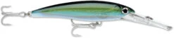 Rapala X-Rap Magnum 10 Big Game Slash Bait -Pro Tackle Store xrmag yft